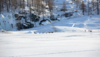Ski alpin & ski de fond
